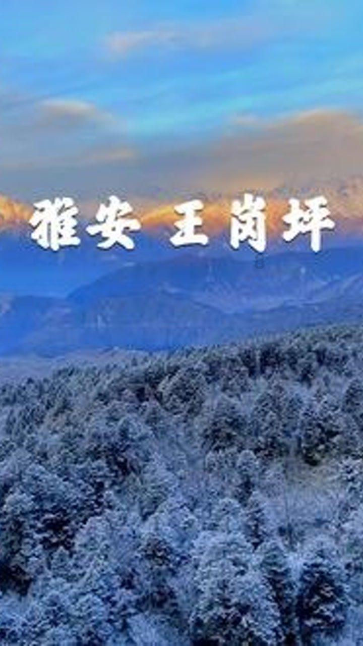 今日足球【精选3串1】争取拿下全红,兄弟们红黑勿怪!